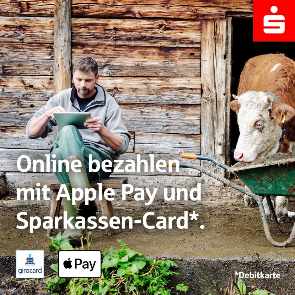 ERFOLGSSTORY: Apple Pay